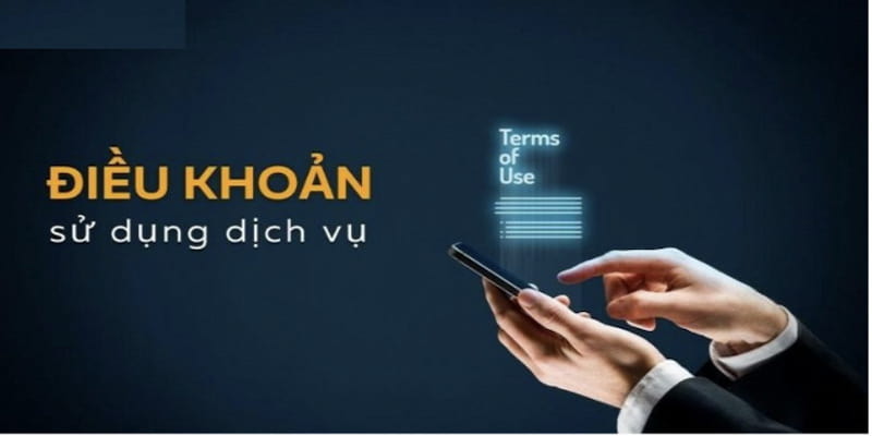 Tầm quan trọng của việc đọc hiểu điều khoản dịch vụ